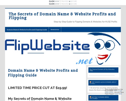 Domain Name & Website Investing & Flipping Guide