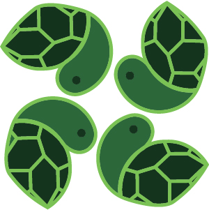 Turtle Care Secrets – Best Coverting Turtle Product.