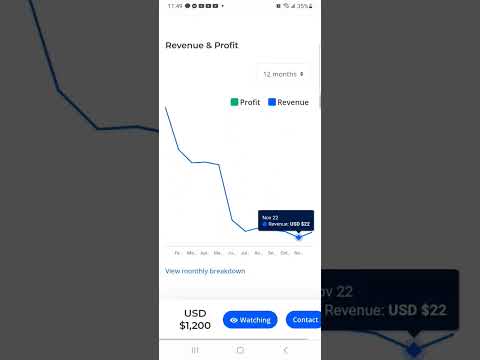 Buy and Hold strategy for Flippa websites #passivemoney #cashflow #passiveincome