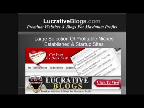 Websites For Sale – Buy Premium Websites and Blogs at LucrativeBlogs