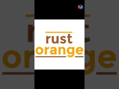 [EPIC TOP 10] Top 10 #Online #Shopping #Websites For #Women #shopping #shoppingonline #fashionstyle