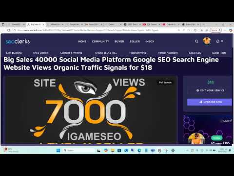 Big Sales 40000 Social Media Platform Google SEO Search Engine Website Views Organic Traffic Signals