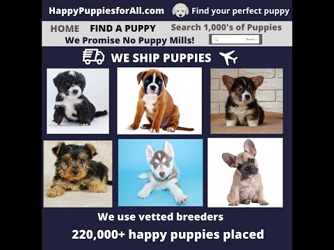 What are websites that sell puppies?